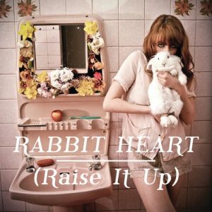 Album Florence + the Machine - Rabbit Heart (Raise It Up)