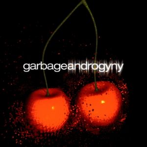 Album Androgyny - Garbage