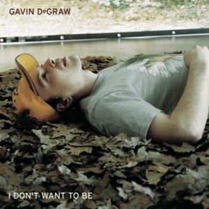 Gavin DeGraw : I Don't Want to Be