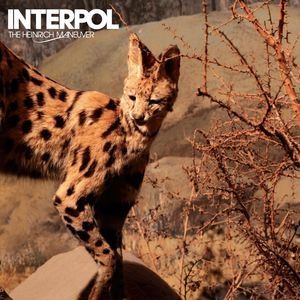 Album Interpol - The Heinrich Maneuver