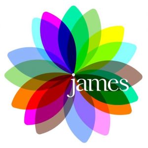 Album James - Fresh as a Daisy - The Singles