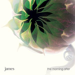 Album James - The Morning After