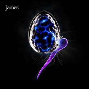 Album James - The Night Before