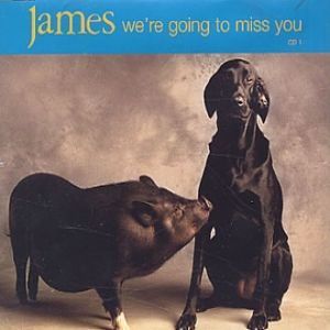 We're Going to Miss You - James