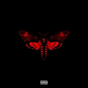 Album I Am Not a Human Being II - Lil' Wayne