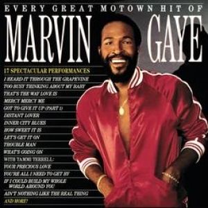 Album Marvin Gaye - Every Great Motown Hit of Marvin Gaye