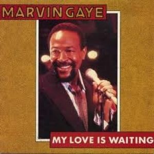 Album My Love Is Waiting - Marvin Gaye