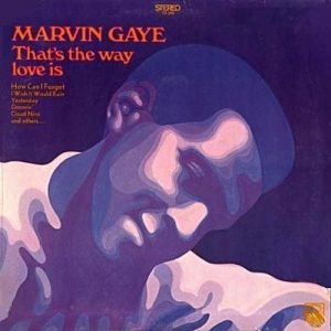 Marvin Gaye : That's the Way Love Is