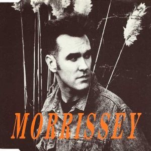 Album Morrissey - November Spawned a Monster