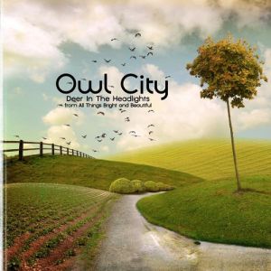 Owl City : Deer in the Headlights