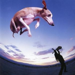 Paul Gilbert Flying Dog, 1998