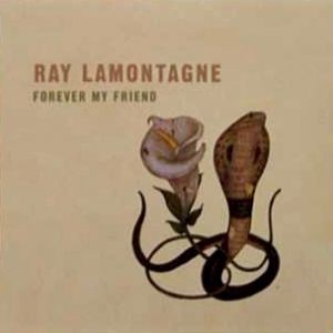 Album Ray LaMontagne - Forever My Friend