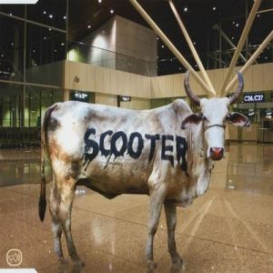 Scooter : Behind the Cow