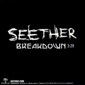 Seether Breakdown, 2008