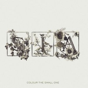Album Sia - Colour the Small One