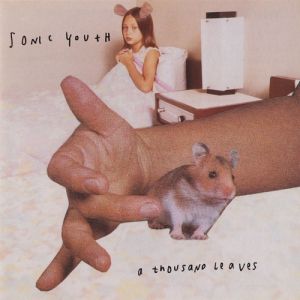 Album Sonic Youth - A Thousand Leaves