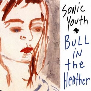 Album Sonic Youth - Bull in the Heather