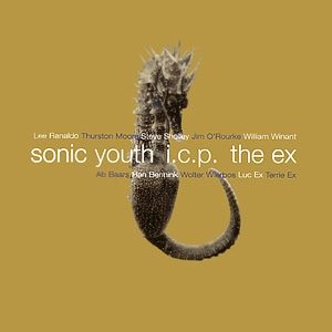 Album Sonic Youth - In the Fishtank 9