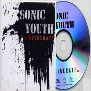 Sonic Youth Incinerate, 2006
