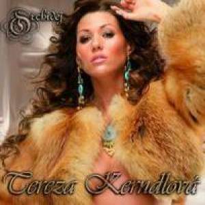 Album Tereza Kerndlová - Orchidej