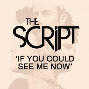 Album The Script - If You Could See Me Now