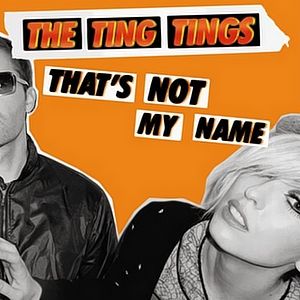 Album The Ting Tings - That