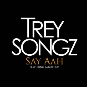 Album Trey Songz - Say Aah