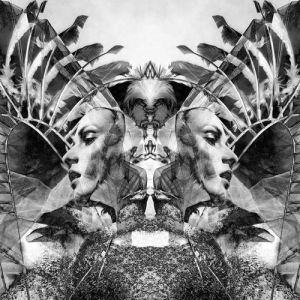 Album UNKLE - Natural Selection