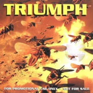 Album Wu-Tang Clan - Triumph