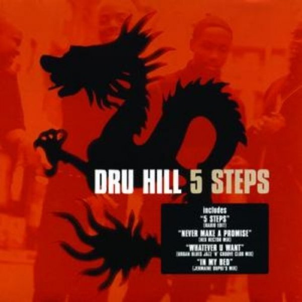 Album Dru Hill - 5 Steps