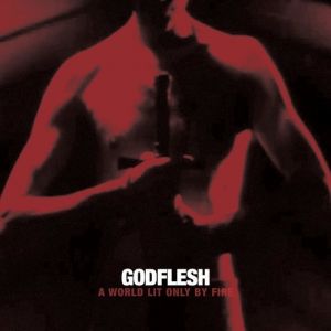 Album Godflesh - A World Lit Only by Fire