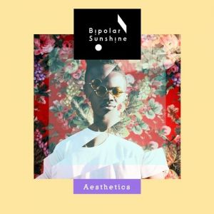 Aesthetics - album