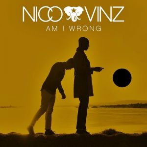 Am I Wrong - album