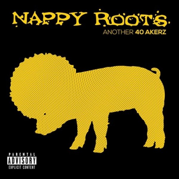 Album Nappy Roots - Another 40 Akerz