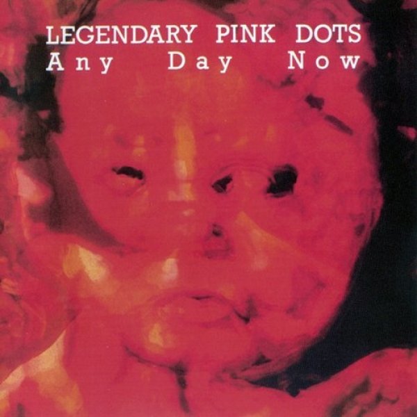 Album The Legendary Pink Dots - Any Day Now