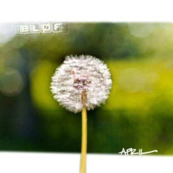 Album BLØF - April