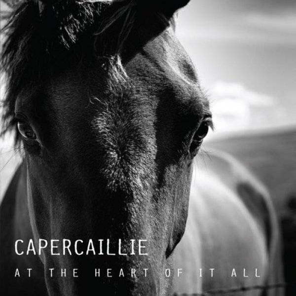 Album Capercaillie - At the Heart of It All