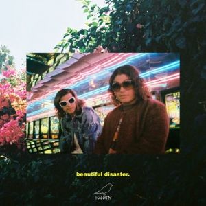 Album DVBBS - Beautiful Disaster
