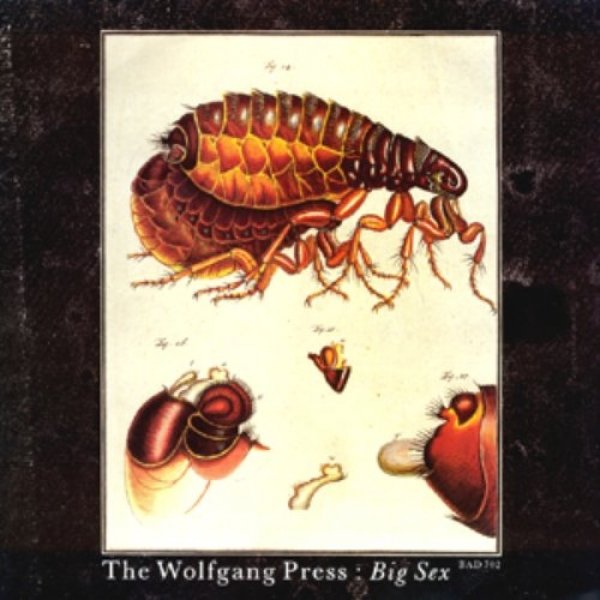 The Wolfgang Press Big Sex, 1987