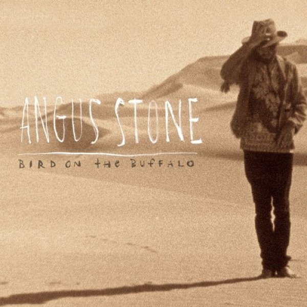 Album Angus Stone - Bird on the Buffalo