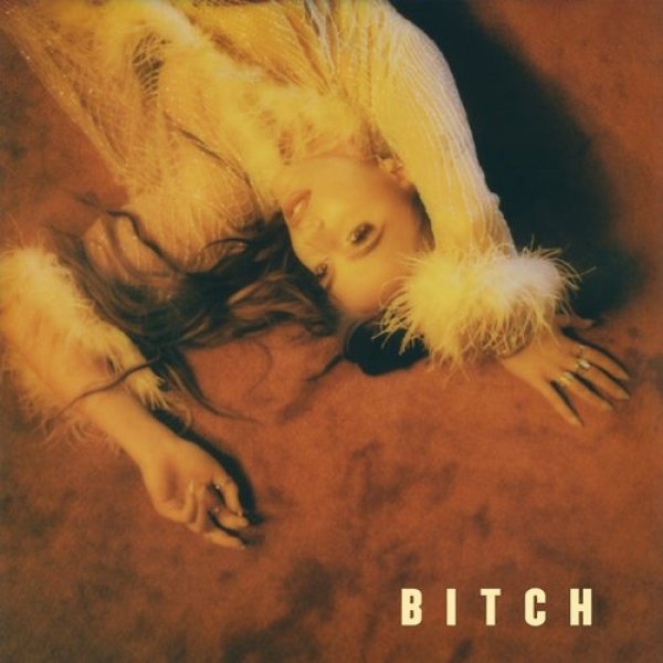 Bitch (Takes One to Know One) Album 