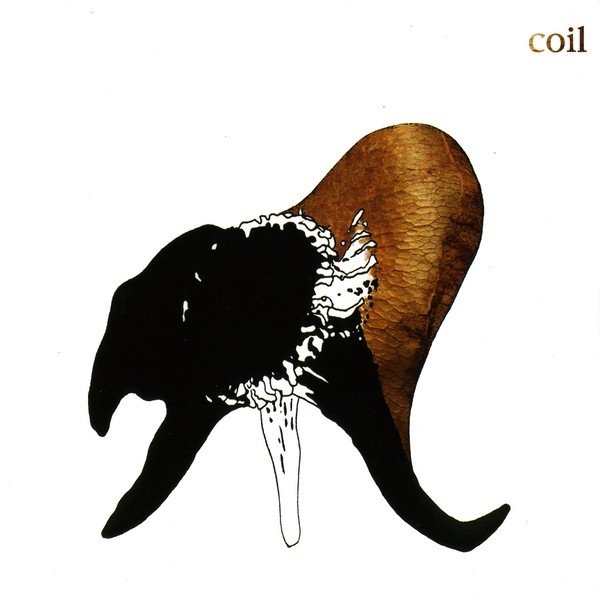 Album Coil - Black Antlers