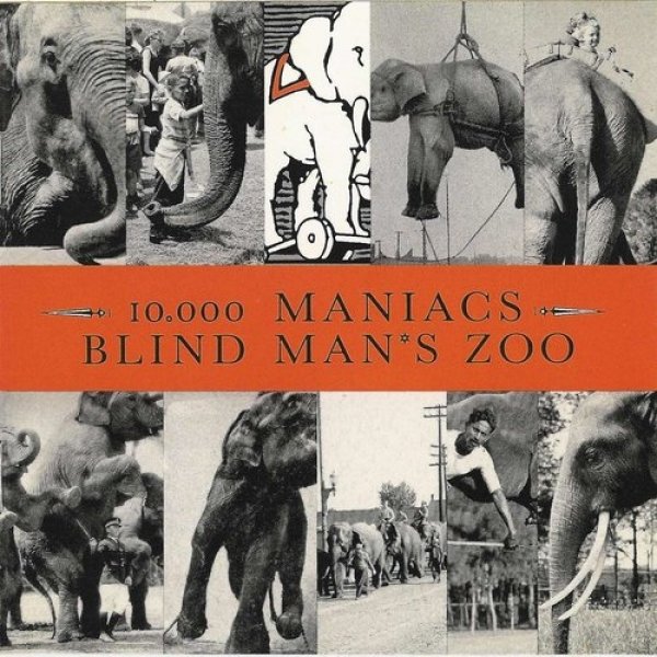 Blind Man's Zoo - album