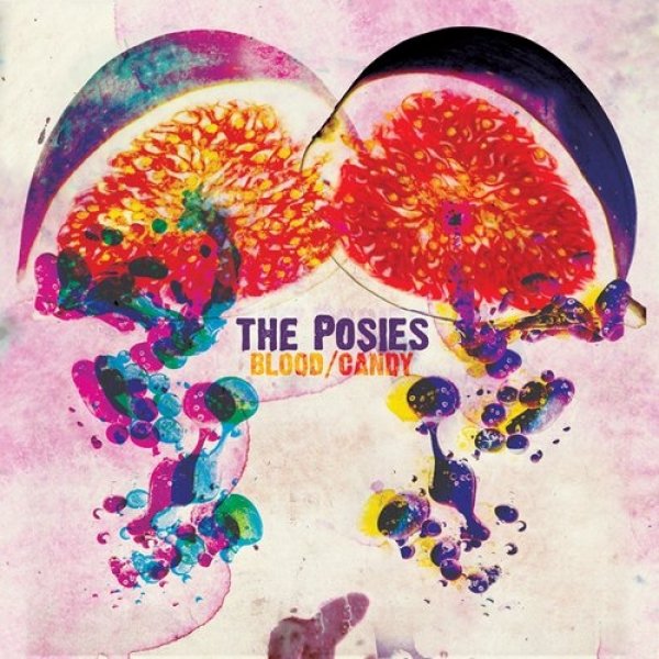 Album The Posies - Blood/Candy