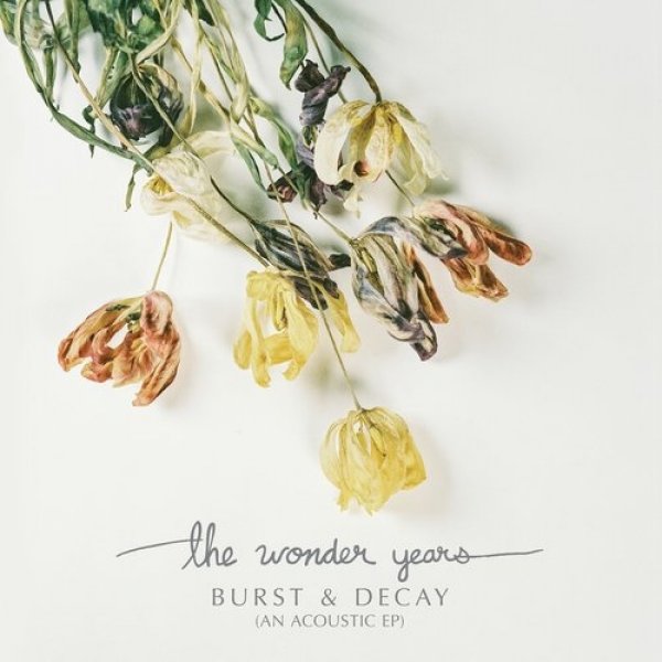 Album The Wonder Years - Burst & Decay