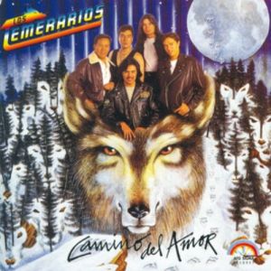 Album Los Temerarios - Camino del Amor