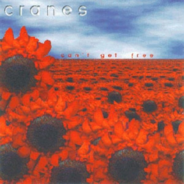 Album Cranes - Can