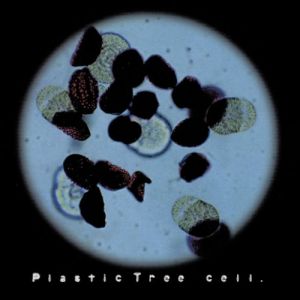 Album Plastic Tree - Cell