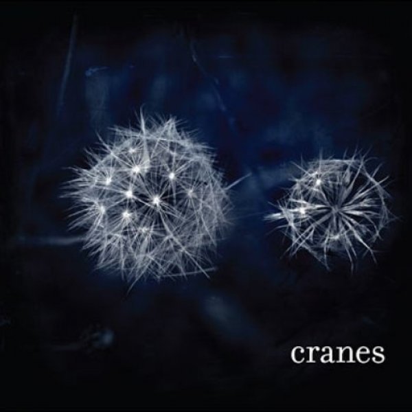 Album Cranes - Cranes