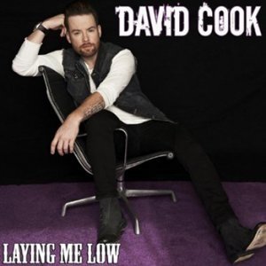 Album David Cook - Laying Me Low